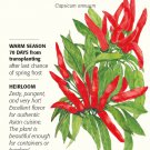 Santaka Hot Asian Chile Pepper Seeds 30 Seeds
