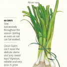 White Lisbon Bunching Onion Seeds 1.5 grams