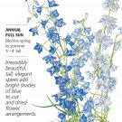 Shades of Blue Larkspur Seeds 750 Mg Consolida