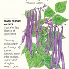 Royal Burgundy Bush Bean Seeds 25 grams Botanical Interests