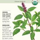 Organic Sweet Thai Basil Seeds 300 mg