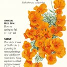 Orange California Poppy Seeds 2 Grams