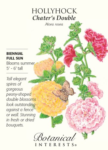 Chater's Double Hollyhock Seeds 500 mg