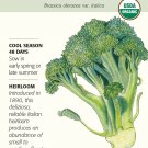 Organic Di Cicco Broccoli Seeds 1.5 grams