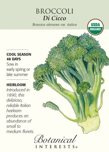 Organic Di Cicco Broccoli Seeds 1.5 grams
