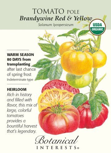 Brandywine Red & Yellow Pole Tomato Seeds Organic 200 mg