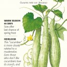 Armenian Burpless Cucumber Seeds 2 grams Botanical Interests