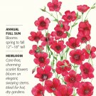 Scarlet Flax Seeds 1.5 grams Linum grandiflorum