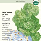 Organic Little Gem Romaine Lettuce Seeds 500 Mg