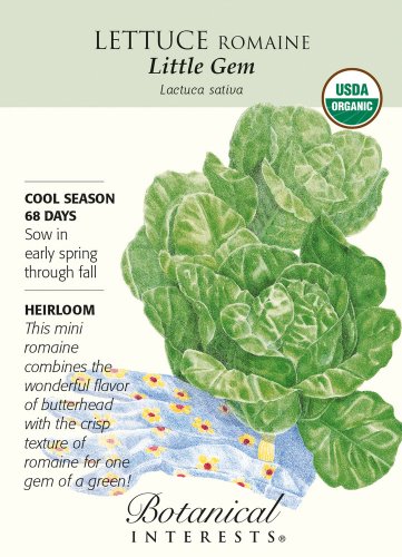 Organic Little Gem Romaine Lettuce Seeds 500 Mg