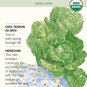 Organic Little Gem Romaine Lettuce Seeds 500 Mg