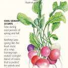 Easter Egg Blend Radish Seeds 4 grams