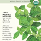 Organic Lemon Basil Seeds 500 mg