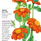 Organic Torch Mexican Sunflower Seeds 500 Milligrams