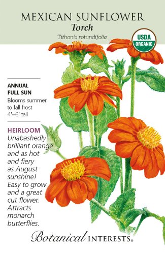 Organic Torch Mexican Sunflower Seeds 500 Milligrams