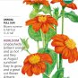 Organic Torch Mexican Sunflower Seeds 500 Milligrams