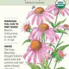 Organic Purple Coneflower Seeds 400 mg Echinacea