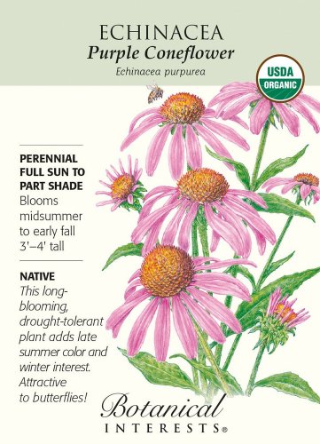 Organic Purple Coneflower Seeds 400 mg Echinacea