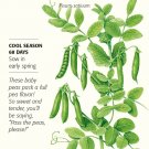 Iona Petite Shelling Pea Seeds 20 grams