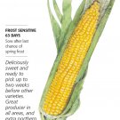 Buttergold Sweet Corn Seeds 10 grams Botanical Interests