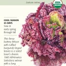 Red Sails Lettuce Seeds 500 Mg
