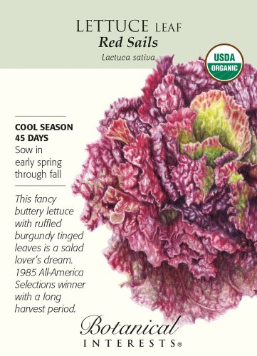Red Sails Lettuce Seeds 500 Mg