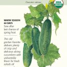 Marketmore Cucumber Seeds1.5 gramsCertified Organic
