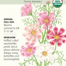Organic Sea Shells Blend Cosmos Seeds 500 mg