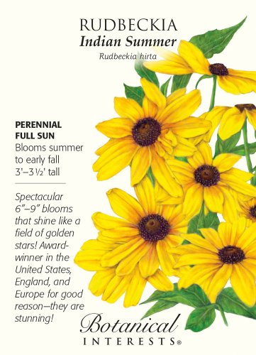Indian Summer Rudbeckia Seeds 50 mg
