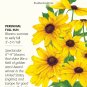Indian Summer Rudbeckia Seeds 50 mg