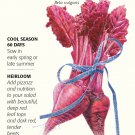 Bull's Blood Beets Heirloom Seeds 3 grams