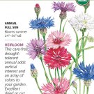 Organic Heirloom Tall Blend Bachelor's Button Seeds 500 Mg