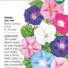 Organic Pinwheel Blend Morning Glory Seeds 25 Seeds Botanical Interests