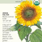 Sunspot Sunflower Seeds 2 grams Organic
