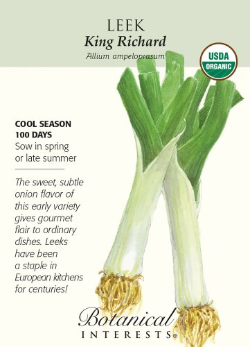 Organic King Richard Leek Seeds 750 mg
