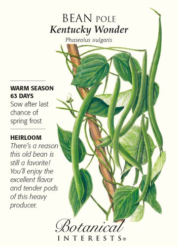 Kentucky Wonder Pole Bean Seeds 25 grams