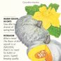 Sweet Meat Winter Squash Seeds 3 grams
