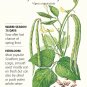 Southern Cowpea Blackeye Bean Seeds 25 grams