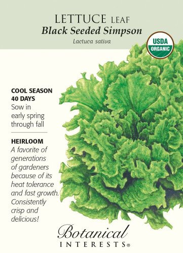 Black Seeded Simpson Lettuce Seeds 1 gram Organic
