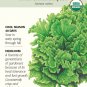 Black Seeded Simpson Lettuce Seeds 1 gram Organic