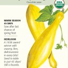 Organic Early Prolific Straightneck Squash Seeds 2 g