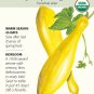 Organic Early Prolific Straightneck Squash Seeds 2 g