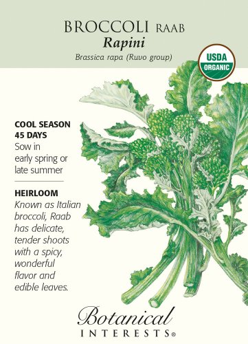 Rapini Broccoli Raab Seeds 1 gram Certified Organic