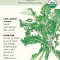 Rapini Broccoli Raab Seeds 1 gram Certified Organic