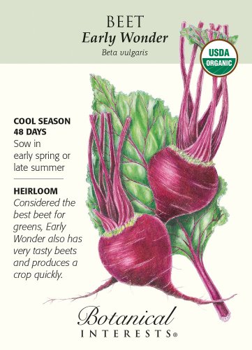 Early Wonder Beet Seeds 2 grams Organic