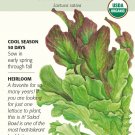 Organic Salad Bowl Blend Leaf Lettuce Seeds 750 mg