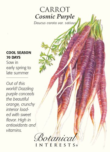 Cosmic Purple Carrot Seeds 700 mg