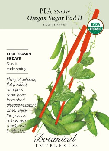 Organic Oregon Sugar Pod Snow Pea Seeds 15 grams
