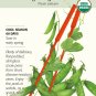 Organic Oregon Sugar Pod Snow Pea Seeds 15 grams