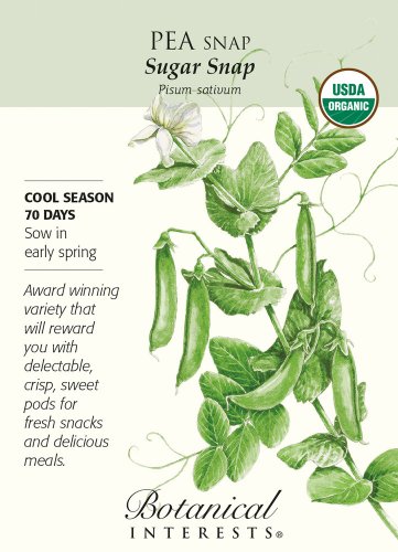 Organic Sugar Snap Pea Seeds 15 grams